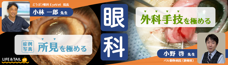 獣医師向け研修動画2